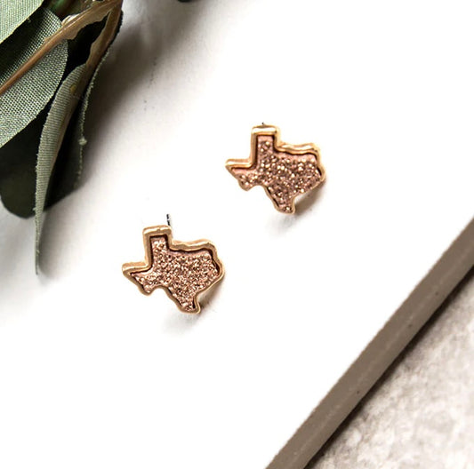 Copy of My Texas Earrings